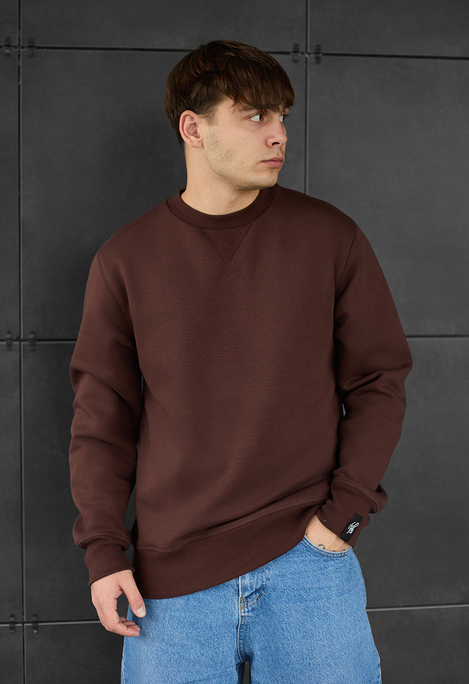 Світшот чоловічий Staff brown basic fleece коричневий базовий утеплений ...